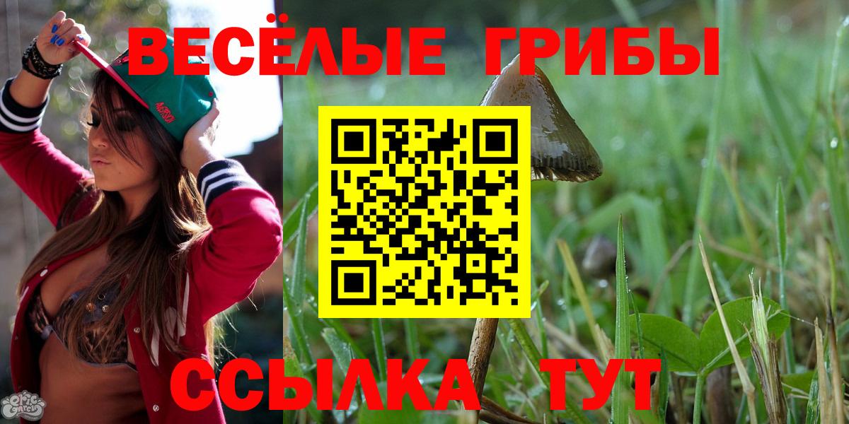 Барнаул  Галлюциногенные грибы MAGIC MUSHROOMS  Вход с VPN 